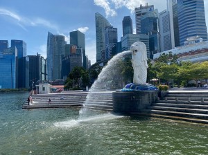 IMG_3116Singapore